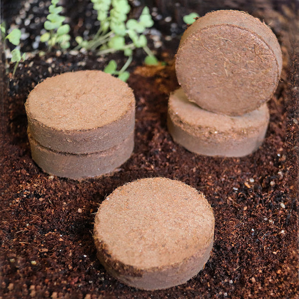 Bloque de Sustrato Nutritivo para Germinación y Cultivo de Vegetales