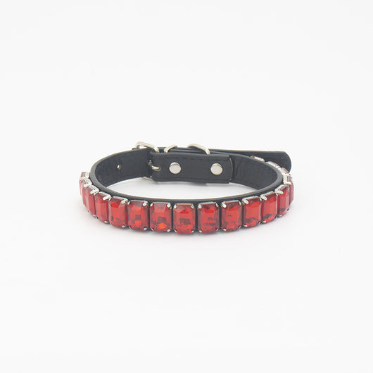 Collar de Poliuretano para Perro y Gato - Image 10