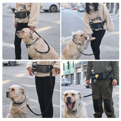 Riñonera Deportiva para Pasear Perros con Correa Integrada - Image 12