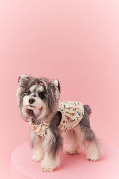 Falda Denim con Tirantes para Perros Pequeños Schnauzer y Maltés - Image 58
