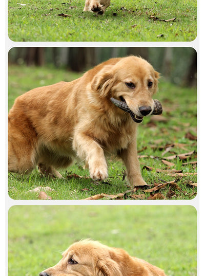 Cuernos de Buey Natural para Perros - Masticables Duraderos - Image 9