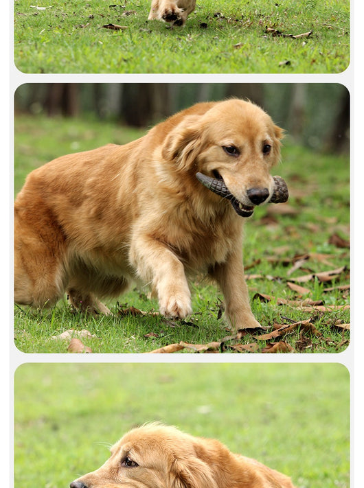 Cuernos de Buey Natural para Perros - Masticables Duraderos - Image 9