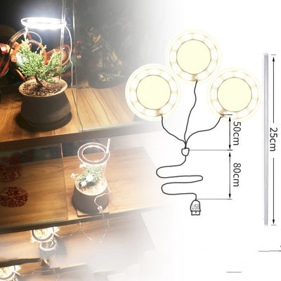 Lámpara LED de Espectro Completo para Plantas y Suculentas - Image 3