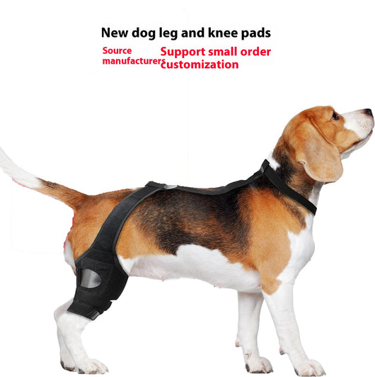 Refuerzo de Rodilla para Perros - Soporte para Patas Traseras - Image 6