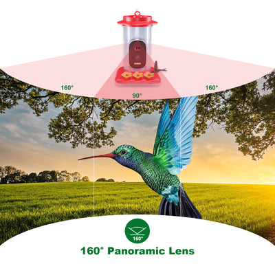 Comedero Inteligente para Colibríes con Cámara HD 5MP - Image 3