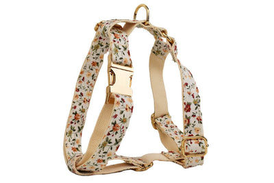 Conjunto de Collar Floral Blanco para Mascotas - Image 16