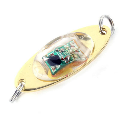 Anzuelo Luminoso con Batería - Señuelo Electrónico para Pesca Nocturna