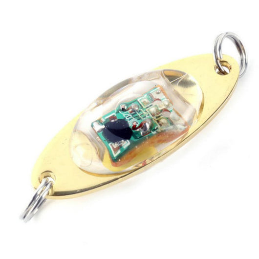 Anzuelo Luminoso con Batería - Señuelo Electrónico para Pesca Nocturna