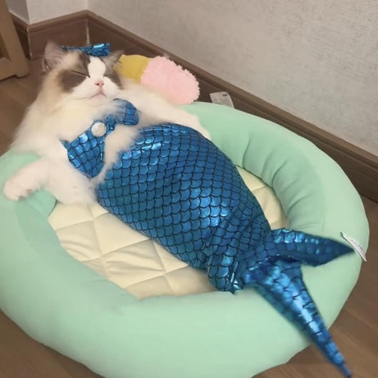 Disfraz de Sirena para Mascotas - Traje Divertido para Gatos y Perros - Image 6