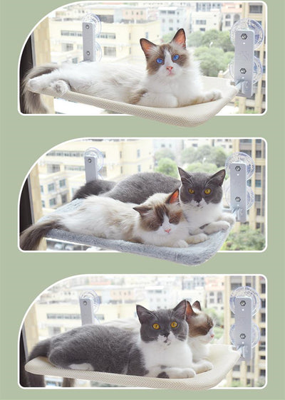 Hamaca de Ventana con Ventosas para Gatos - Cama Colgante de Vidrio - Image 3