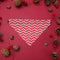 Red Saliva Towel