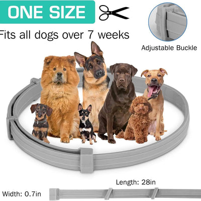 AICONSTO small dog insect repellent collar, gray, offering 8-month protection against fleas, ticks, lice, and flea larvae. - Image 4