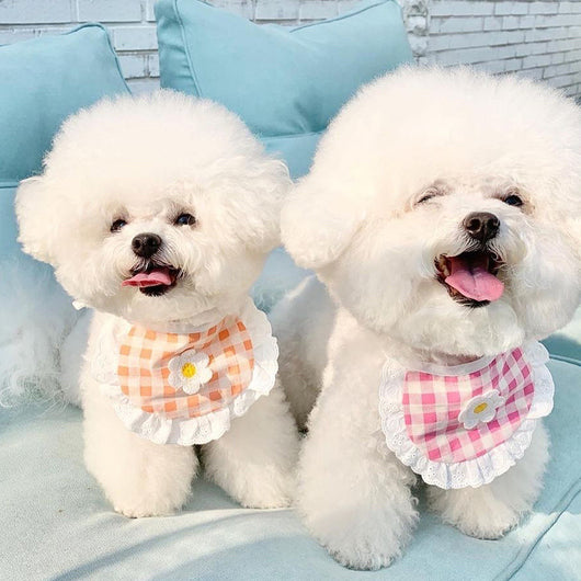Babero Absorbente para Perros con Diseño Cuadros y Flores - Image 9
