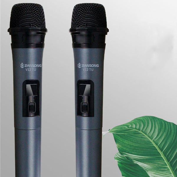 Micrófono Inalámbrico V12 para Amplificador, Computadora y Presentaciones