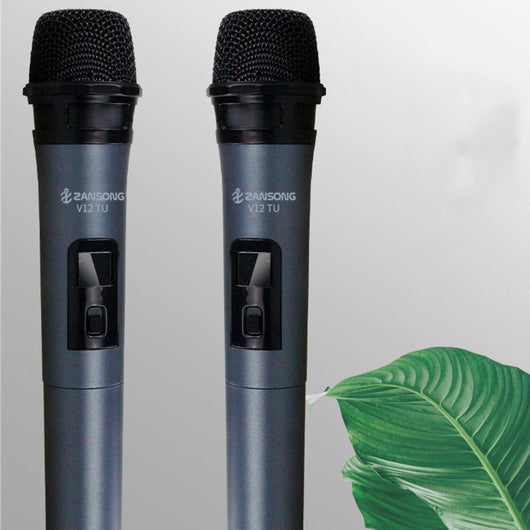 Micrófono Inalámbrico V12 para Amplificador, Computadora y Presentaciones