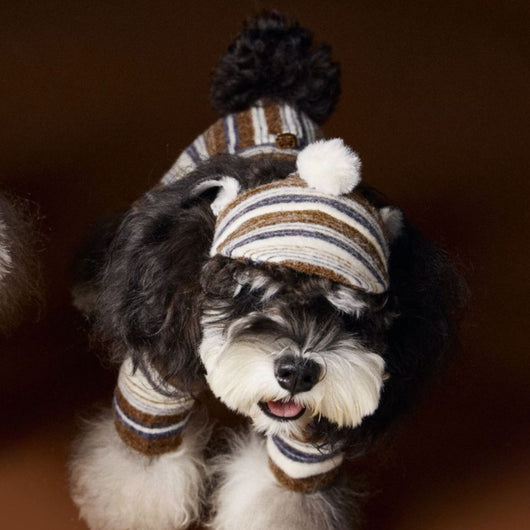 Gorro de Pelota Esponjosa a Rayas para Mascotas - Image 5