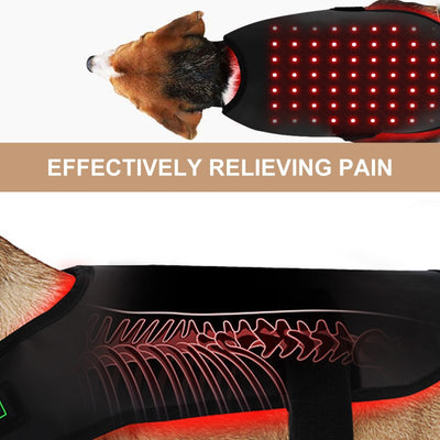 Dispositivo de Fototerapia Infrarroja Portátil para Mascotas con Temporizador - Image 8