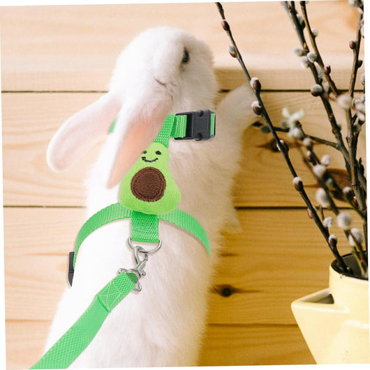 Arnés y Correa de Tracción para Mascotas Pequeñas - Seguridad y Control - Image 14