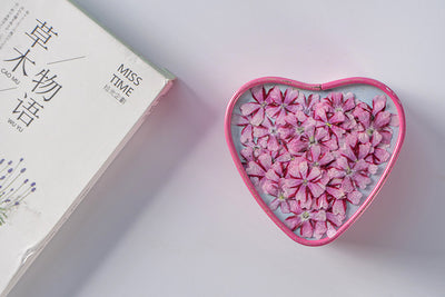 Marcapáginas con Flor de Cerezo Deshidratada - Accesorio Ornamental con Espécimen Botánico - Image 17