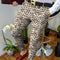 Calça Casual com Estampa Outonal - Design Moderno e Versátil