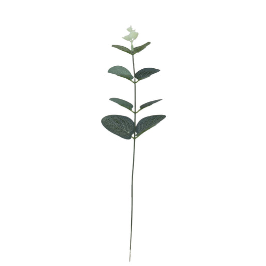 Arreglo Floral en Maceta - Planta Dinero Verde Elegante para Eventos - Image 9