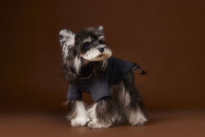 Camisa Interior Teddy Schnauzer - Diseño Elegante con Cuello de Dos Patas - Image 15