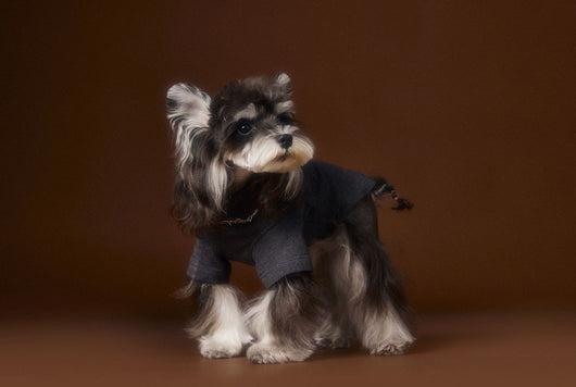 Camisa Interior Teddy Schnauzer - Diseño Elegante con Cuello de Dos Patas - Image 15
