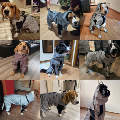 Traje de Protección Solar para Perros Grandes - Verano Impermeable - Image 4