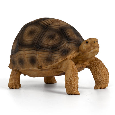 Adorno de Resina para Tortugas Brasileñas - Hábitat Acuático Realista - Image 2