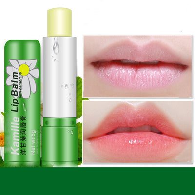 Bálsamo Labial Reparador con Ingredientes Naturales - Image 9