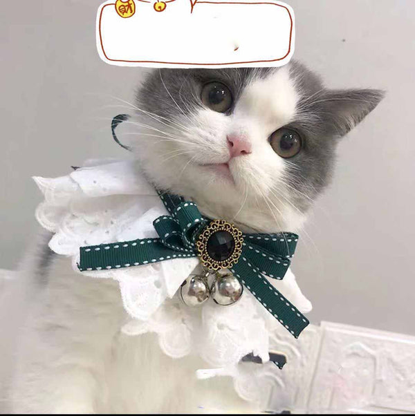 Pañuelo Babero para Mascota con Encaje Decorativo