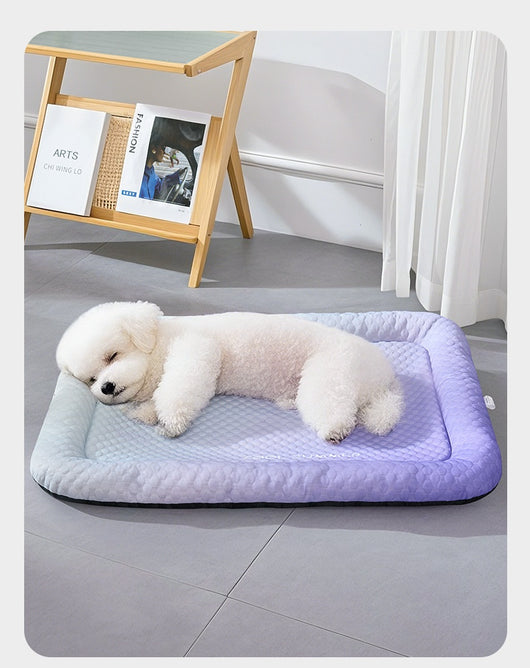 Tapete Refrigerante para Mascotas Degradado de Colores - Verano - Image 13