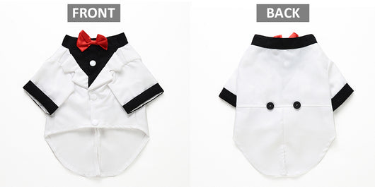 Traje Deportivo para Perros - Image 11