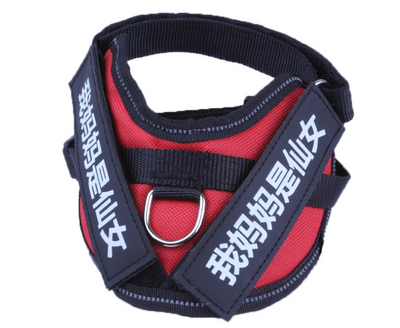 Pegatina Personalizada con Nombre para Mascota - Image 10