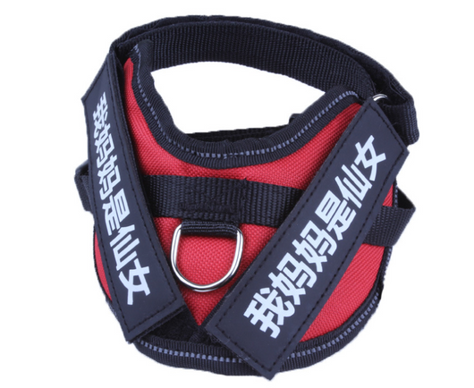 Pegatina Personalizada con Nombre para Mascota - Image 10