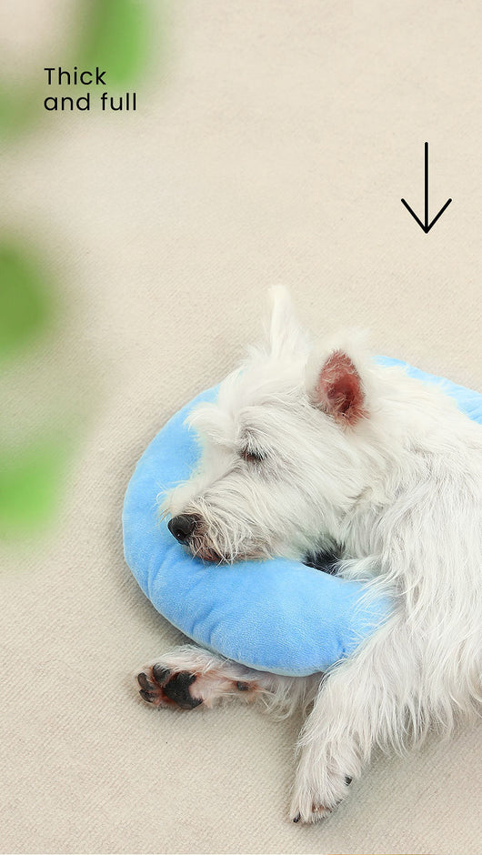 Cojín Ergonómico Cervical para Perros y Gatos - Almohada Universal de Apoyo - Image 11
