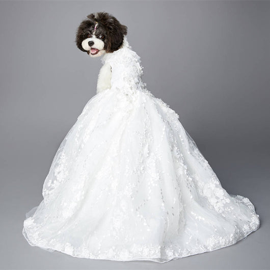 Vestido de Novia con Cola Bordada de Lujo