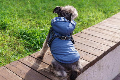 Abrigo Impermeable para Perros con Forro Polar y Capucha - Image 13