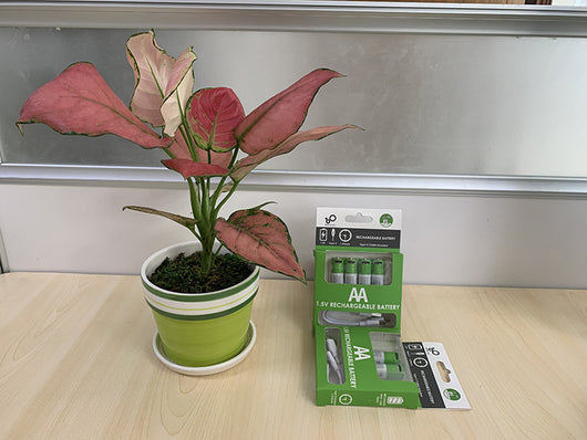 Two green AA 1.5V rechargeable batteries with Type-C ports and a white USB-C charging cable in green retail packaging. - Image 16