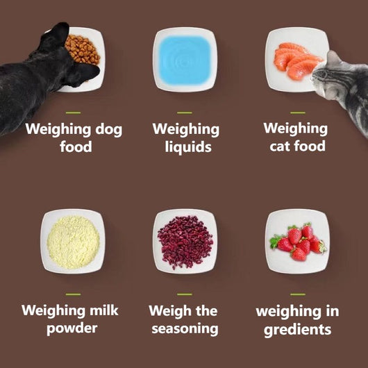 Cuchara Medidora Transparente para Alimento de Mascotas - Image 16
