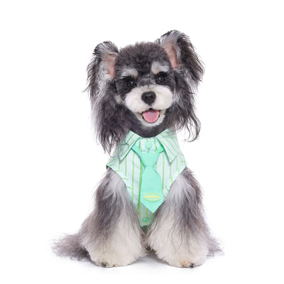 Playera de Algodón Fino para Perro Schnauzer Teddy - Image 3