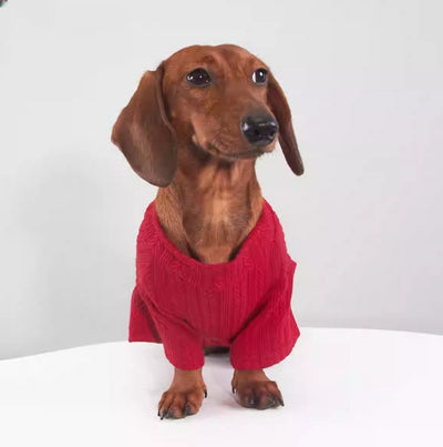 Prenda Base Elástica para Perros y Gatos - Abrigo Otoño e Invierno - Image 2