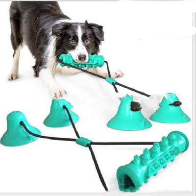 Pink and teal spiky pet molar toy with a suction cup base, designed for chewing and teeth cleaning. - Image 16