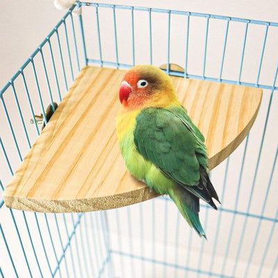 Semicircular solid wood bird cage platform with metal wingnut fasteners, designed for perching and playing. - Image 19
