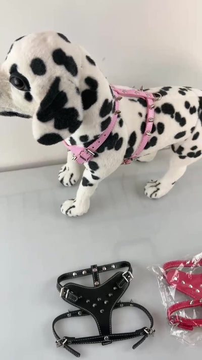 Arnés de Cuero con Tachuelas para Perros Pequeños - Chaleco Protector Negro - Image 22