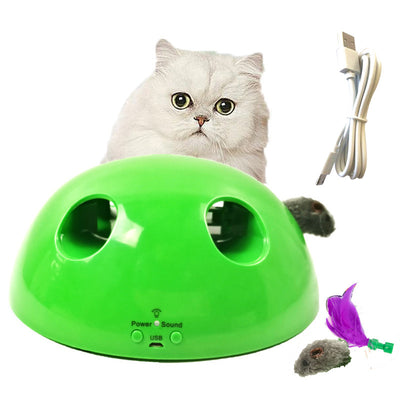 Green Pop 'n Play interactive cat toy with motorized peek-a-boo mouse, packaging, and instructions. - Image 11