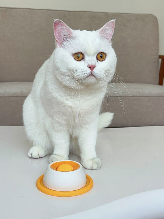 Juguete Comedero Antiderrame para Gatos - Dispensador de Premios Resistente - Image 9