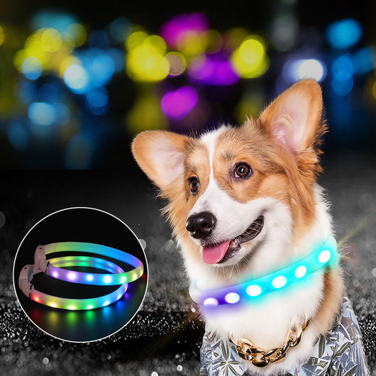 Collar LED Recargable para Perros - Collar Luminoso de Seguridad Nocturna - Image 8