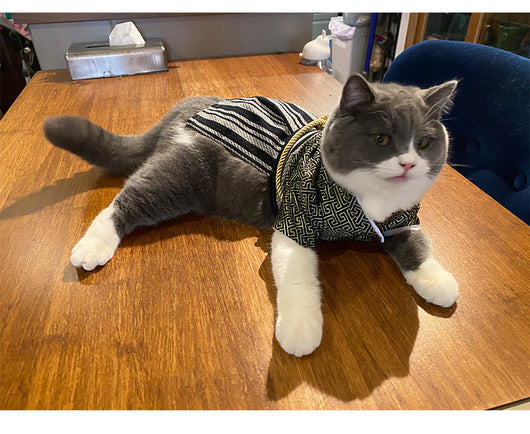 Disfraz de Guerrero Samurái para Perros - Estilo Kimono Japonés - Image 18