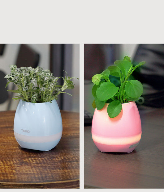 Florero Musical Táctil con Altavoz Integrado - Image 16